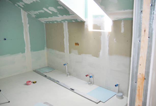 Trusted Keyser, WV Mold Removal Experts