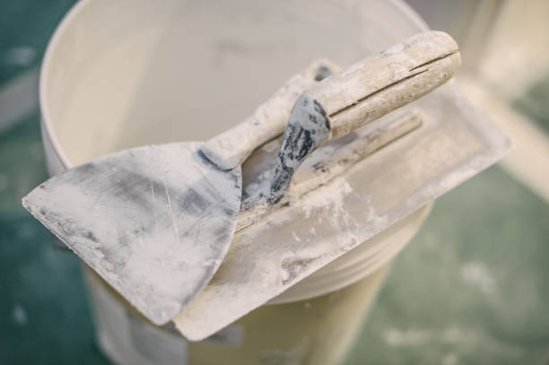 Best Crawl Space Mold Remediation  in Keyser, WV